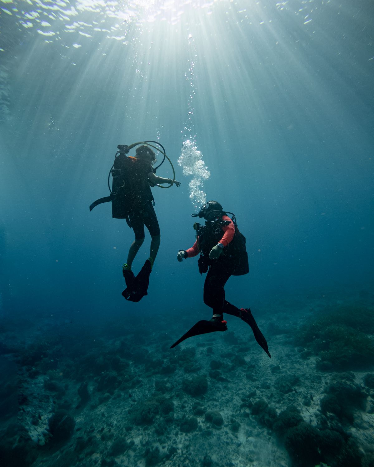 Two scuba divers exploring the ocean depths in shafts of sunlight