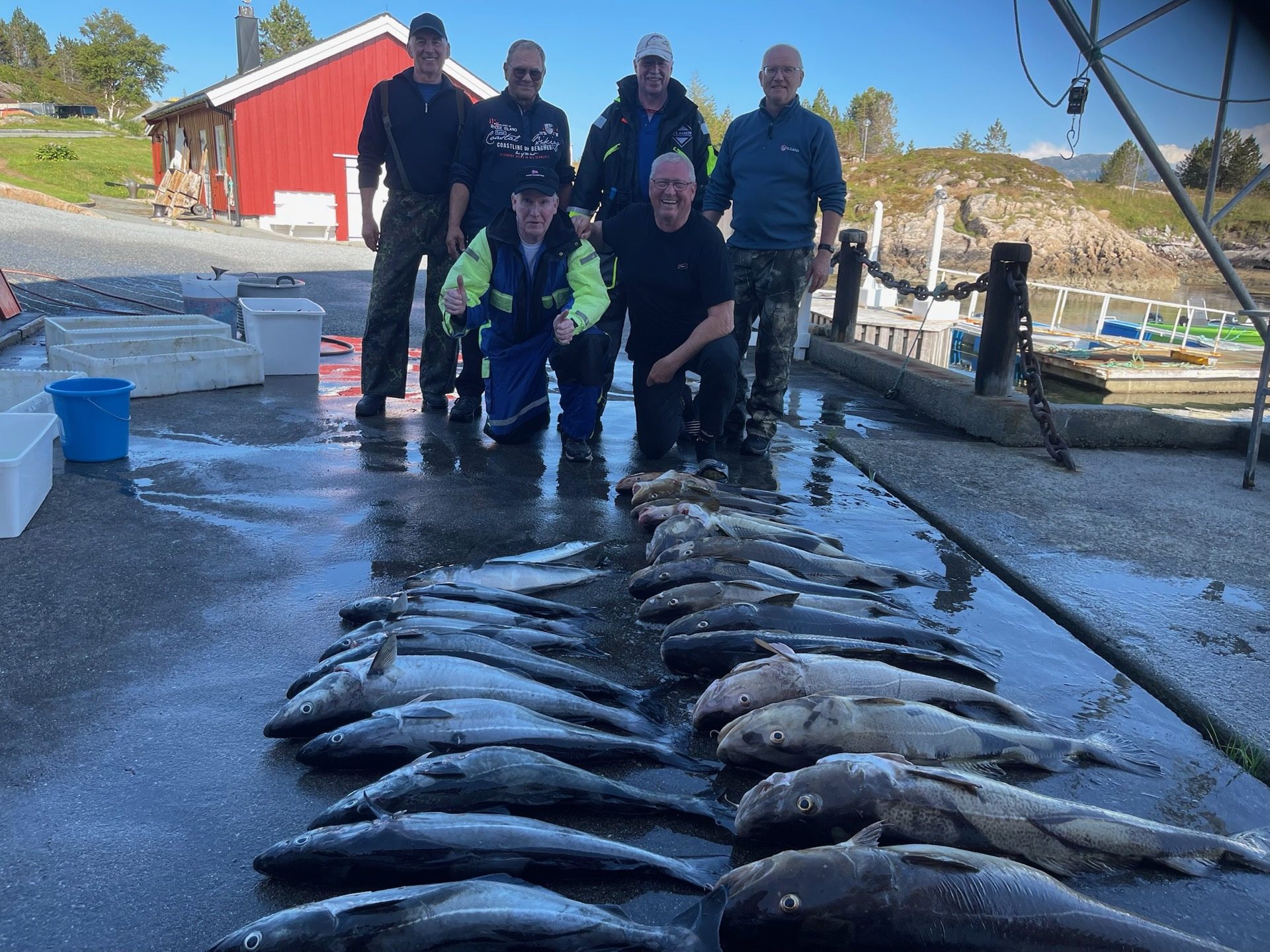 The day's catch laid out on the quay with the sea and coastline in the background
